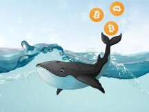 Ethropy主理人关于2022加密世界的预测：DeFi、L1、Web 3