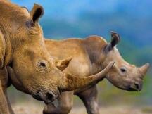 激发下一个更大规模DeFi的导火索