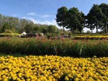 寒冬虽至，五大利好吹送牛市春风？