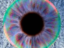 既当又立？你能同时成为NFT艺术家和环保主义者吗？