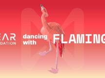 NEAR加入Flamingo DAO，将为NFT生态发展助力