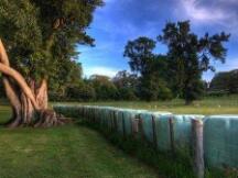 散户投资者流入量超越机构 比特币合约正遭受大洗盘