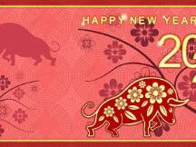 【Deribit期权市场播报】0218：牛市