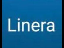 有Facebook背景的Linera，会不负A16z的期望吗？