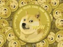 狗狗币飙升30%推特将标志改为柴犬狗，这是模因币新一轮牛市吗？