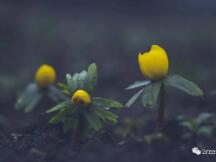 【Deribit期权市场播报】0301：基差回归