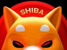 币安又有新动作了，狗币杀手SHIB已上线