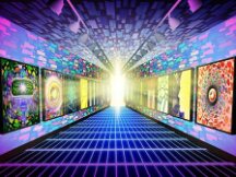 田野调查：至暗时刻还没来 但 NFT 不会死