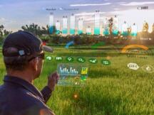 浅谈Balancer流动性挖矿的风险和潜在收益