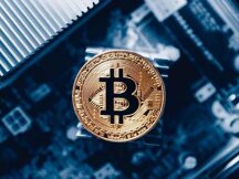 一文回顾马斯克和塞勒推文影响：“渣男”和“大赌徒”如何搅乱加密市场