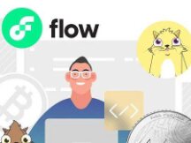 Flow VS 以太坊：深度对比两条公链以及合约开发语言