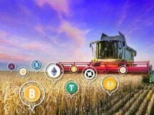 DeFi“农民”平均ROI高达500%，但大多不懂智能合约