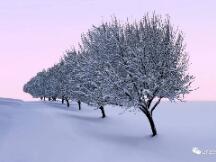 【Deribit期权市场播报】0127：无波动