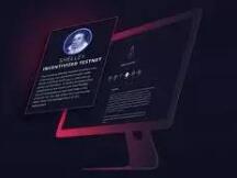 Shelley激励测试网的激励模型科普