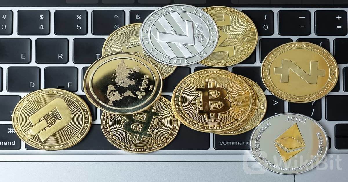 PayBito 首席执行官表示，加密货币需要一种平衡的方法来增强全球影响力