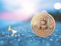 加密市场现在是牛市还是熊市？用数据说话