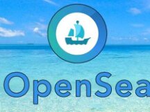 2021 test meme: SOS provokes public outrage against OpenSea
