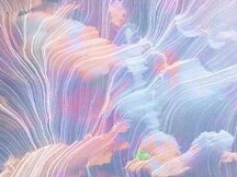 CBDC：功能范围、定价和控制