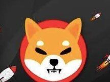 Shiba Inu“登月”，创历史新高！其价格上涨背后的催化剂是什么？