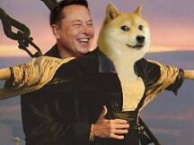 SHIB凭什么？后市还有么有机会？