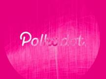 跨链明星项目波卡的盔甲与弱肋