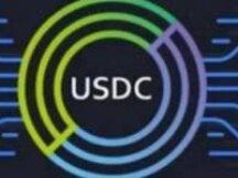 Voyager Digital计划年内推出新功能，允许客户使用USDC购买传统股票