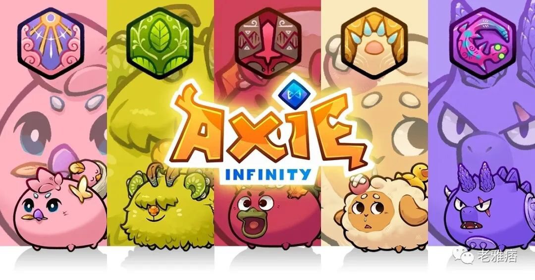 Axie Infinity 和 Polygon 领导者谈如何应对熊市