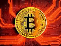 Bitcoin's interest rate is stable and money continues to flow into the cryptocurrency.