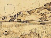 大盘反弹无力，波卡用涨幅征服市场