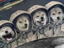 解密狗狗币近期起飞之谜