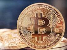 BTC震荡盘升 山寨花开迷人眼