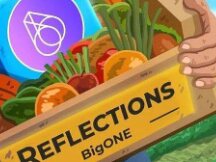 反射机制：转变DeFi生态系统的收益概念