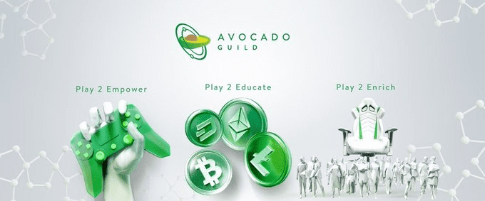 Avocado Guild，通过独具特色的P2E打开Web3世界的大门