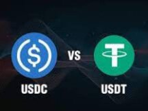 USDT和USDC使用模式分析