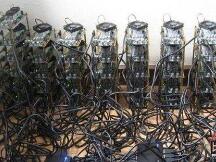 现代“淘金” 真实版挖金子