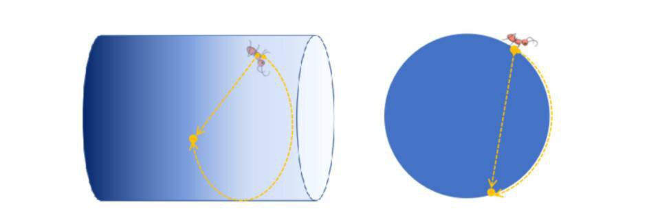 从物理学视角理解Loot：为什么它可能是元宇宙的「虫洞」？