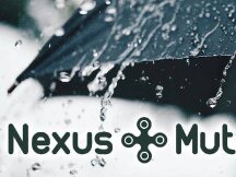 一个潜力巨大却又被高估的 DeFi 保险项目：Nexus Mutual