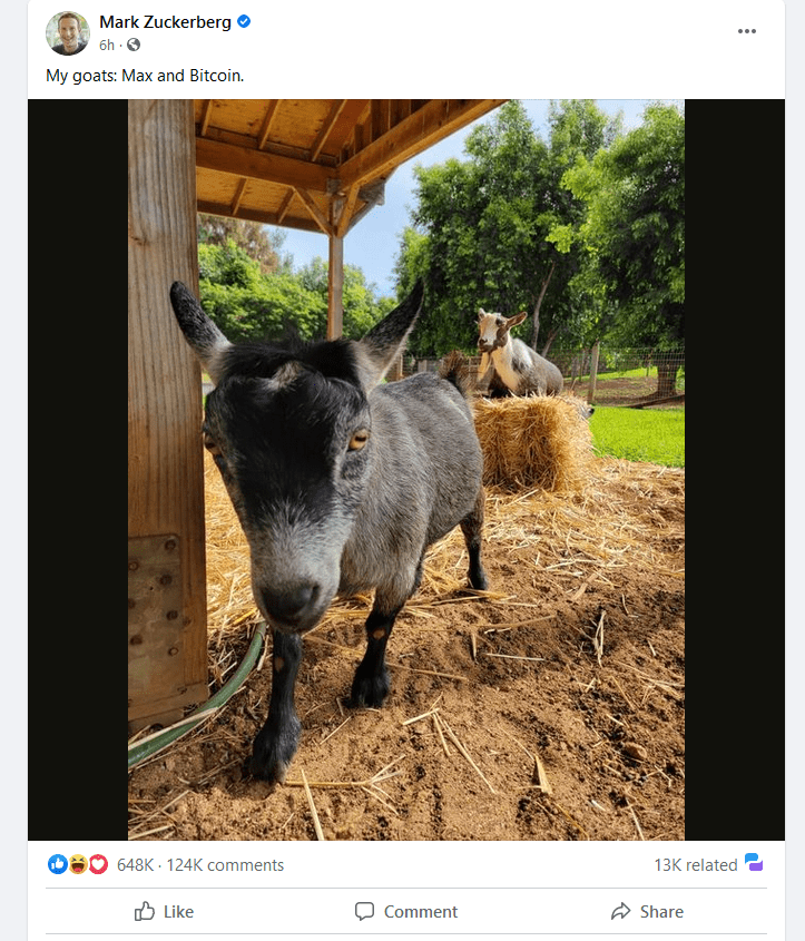 加密推特解密：扎克伯格为何将他的山羊取名为“Max”和“比特币”