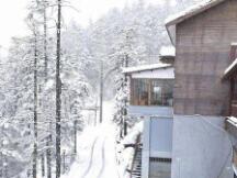 惨绝人寰 大部分币种单日腰斩