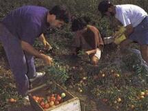 2020年流动性挖矿现象概览：潜力仍在，余温未退