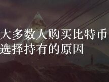 探寻大多数人购买比特币选择持有的原因
