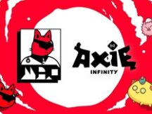 对Axie Infinity及区块链发展趋势的理解分享